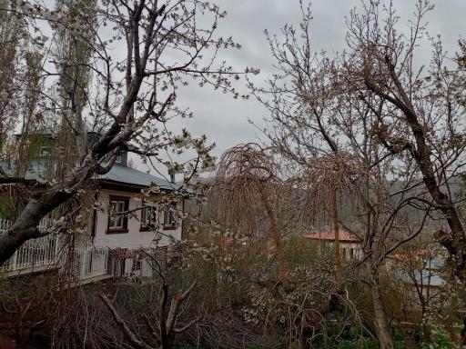 عکس دهکده خوشبختی