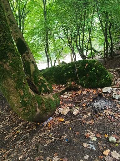 عکس تنگه خیرود