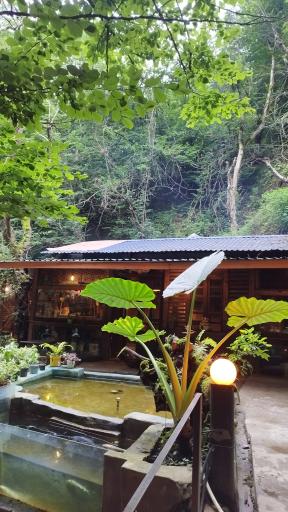 عکس نویان کافه