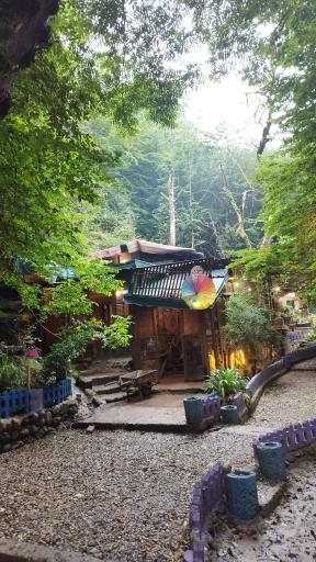 عکس نویان کافه