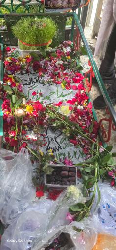 عکس مزار شهید سید احمد پلارک