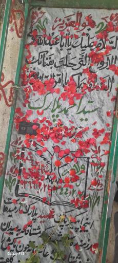 عکس مزار شهید سید احمد پلارک