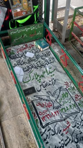 عکس مزار شهید سید احمد پلارک