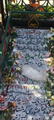 عکس مزار شهید سید احمد پلارک