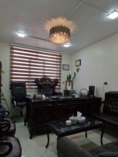 عکس گروه مشاورین املاک سران