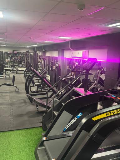 عکس باشگاه تخصصی فلکس