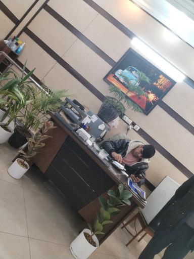 عکس اتو گالری شاهین 