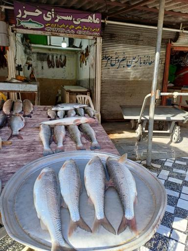 عکس بازار ماهی فروشان نور