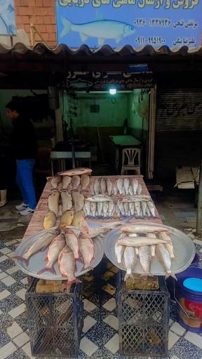 بازار ماهی فروشان نور