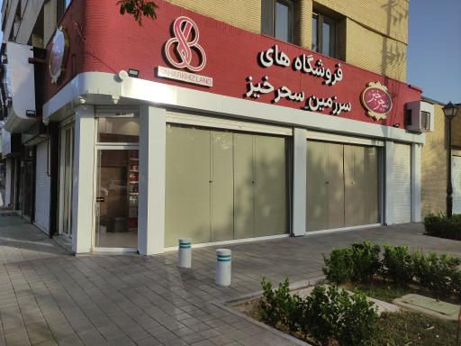 عکس زعفران سحر خیز 