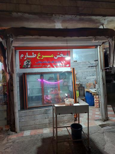 عکس پخش مرغ طارم