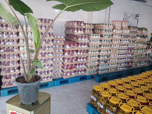 عکس شرکت رمضانلو