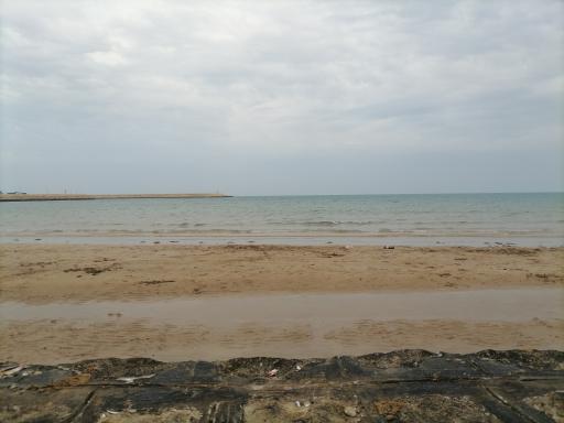 عکس پارک ساحلی