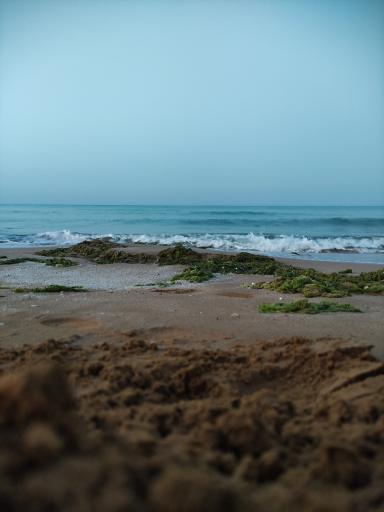 عکس پارک ساحلی