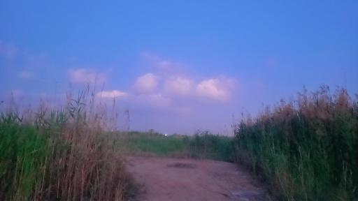 عکس نهر چوسان