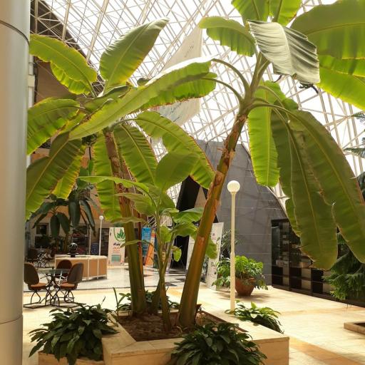 عکس شهرک فناوری صنایع غذایی و بیوتکنولوژی شمال شرق