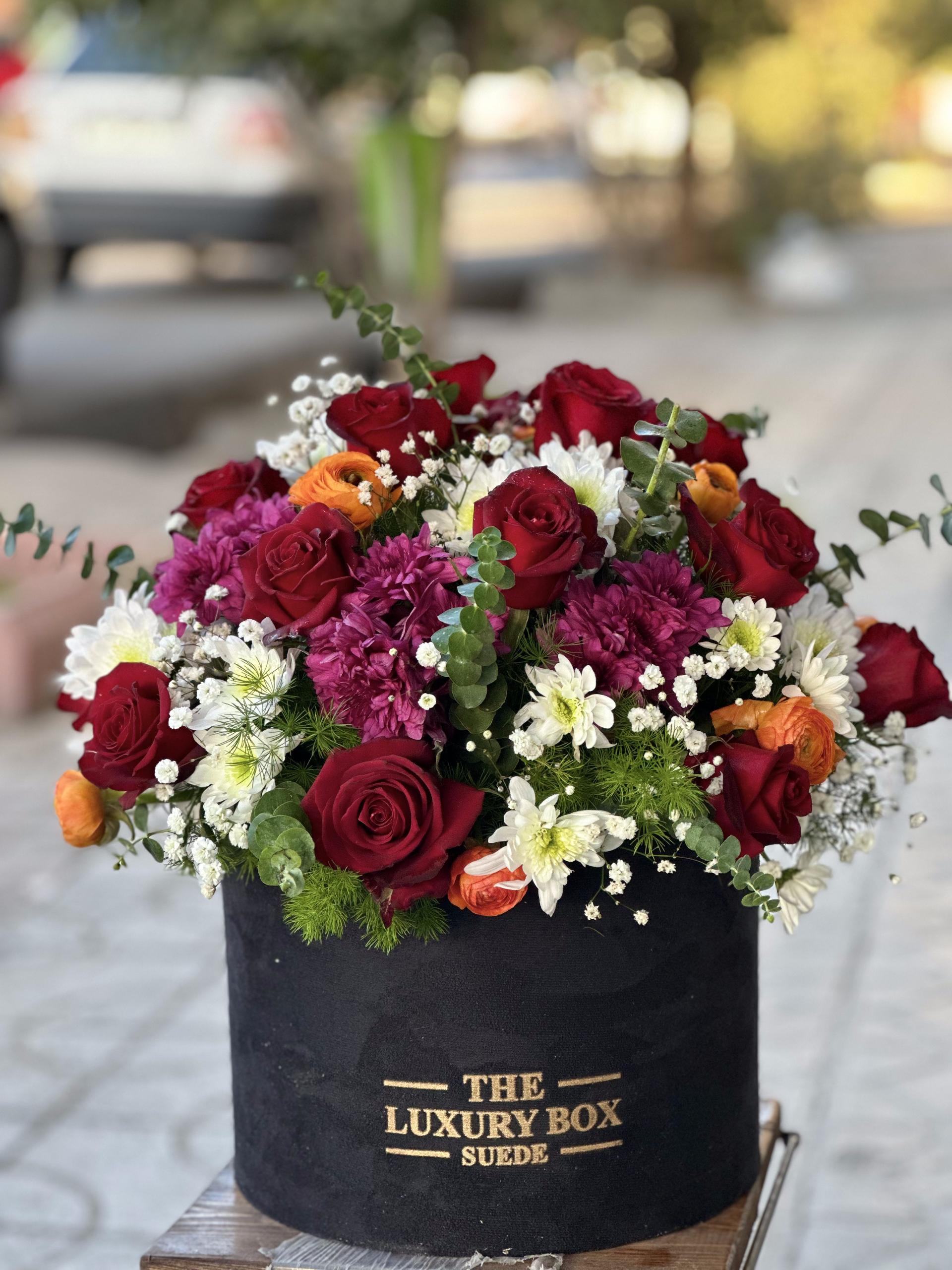 عکس گل سرای ارکیده 