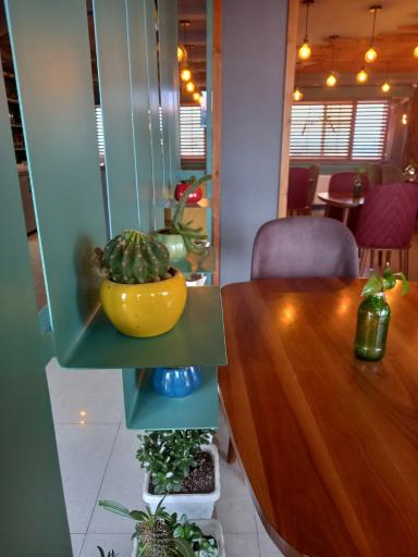 عکس کافه بام داریوش