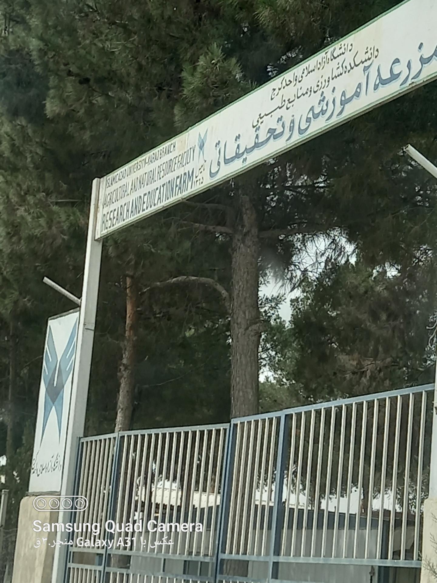 عکس مزرعه تحقیقاتی دانشکده کشاورزی دانشگاه آزاد کرج