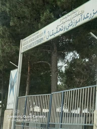 عکس مزرعه تحقیقاتی دانشکده کشاورزی دانشگاه آزاد کرج