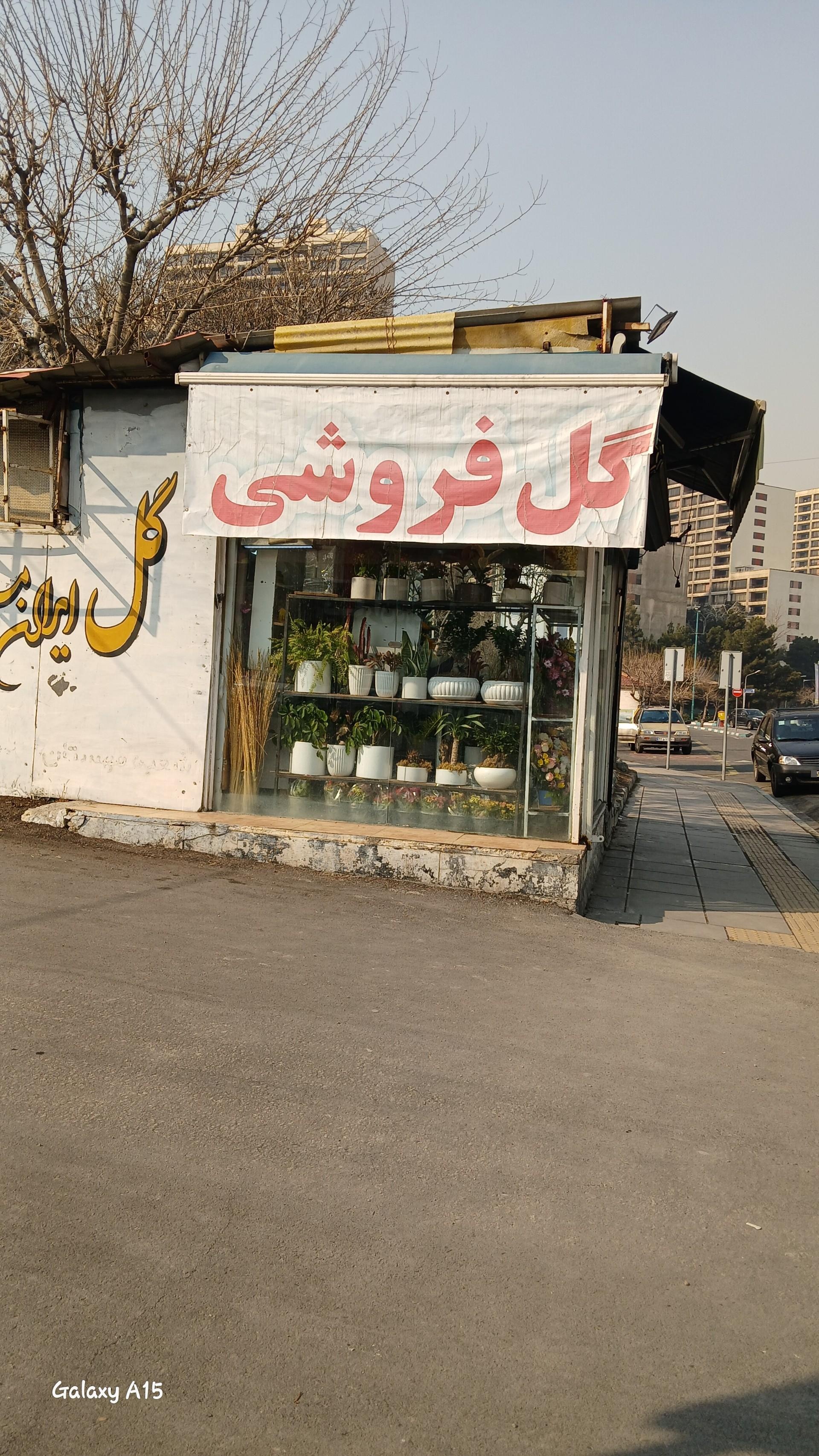 عکس دکه گل فروشی 