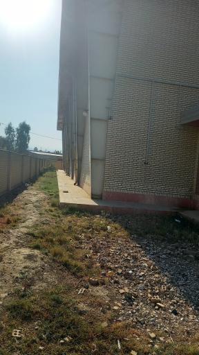 عکس سالن ورزشی شهید ملایی