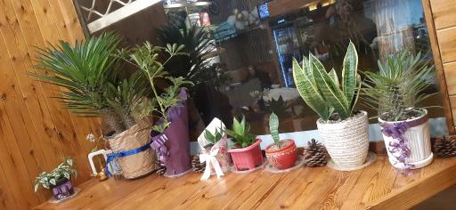 عکس کافه هپی