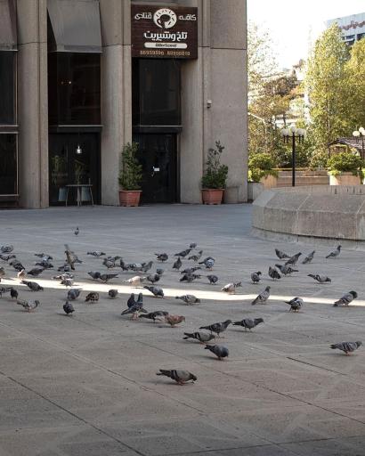 عکس کافه رستوران بیتر سوییت