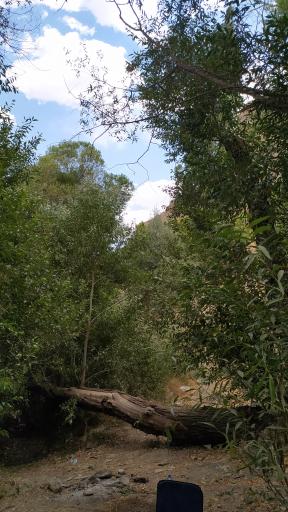 عکس محوطه تفریحی بین‌ المللی آبشار سمیرم