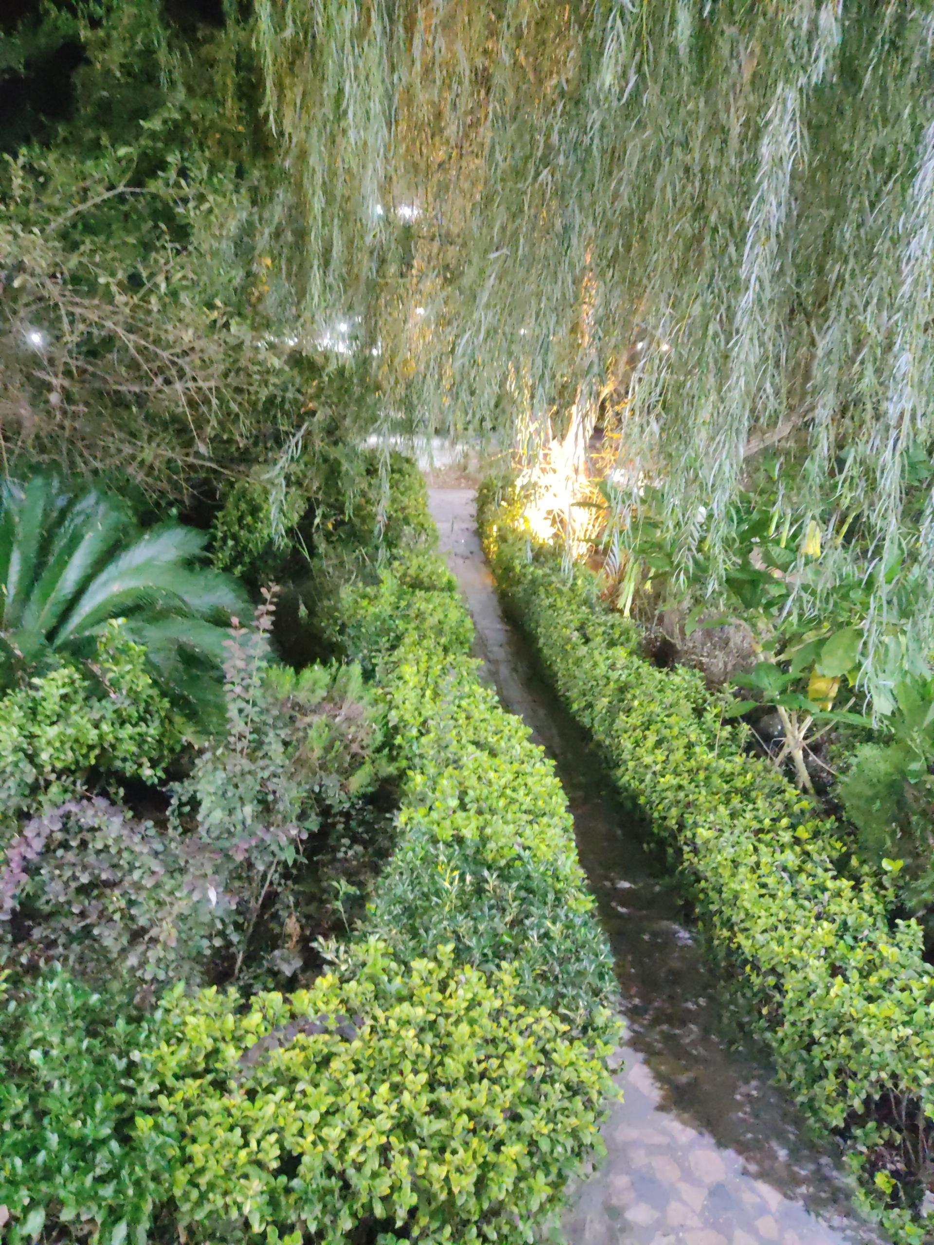 عکس باغ رستوران شمسی پور(مدیریت عباس پور)