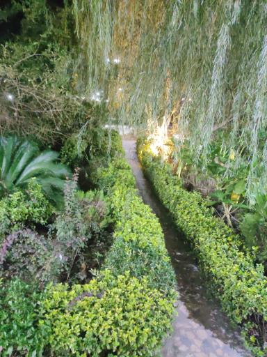 عکس باغ رستوران شمسی پور(مدیریت عباس پور)