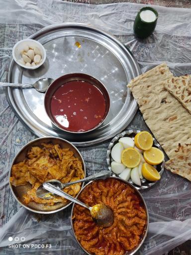 عکس دیزی سید