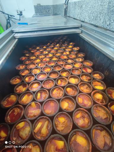 عکس دیزی سید