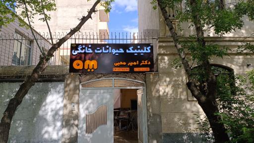 عکس کلینیک حیوانات خانگی دکتر امیر محبی