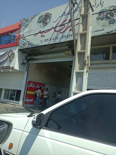 عکس دیزی سید