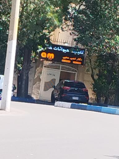 عکس کلینیک حیوانات خانگی دکتر امیر محبی