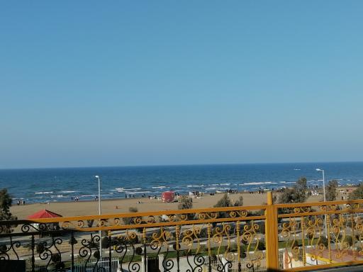 متل زیتون خزر