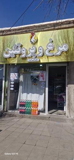 عکس نمایندگی مرغ ویژه