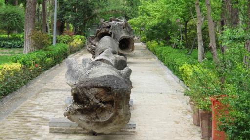 عکس بوستان هشت بهشت