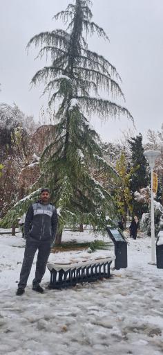 عکس بوستان هشت بهشت