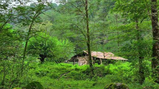 عکس آبشار آهکی اسکیلیم