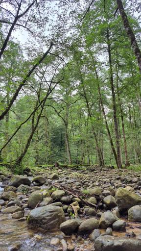 عکس آبشار آهکی اسکیلیم