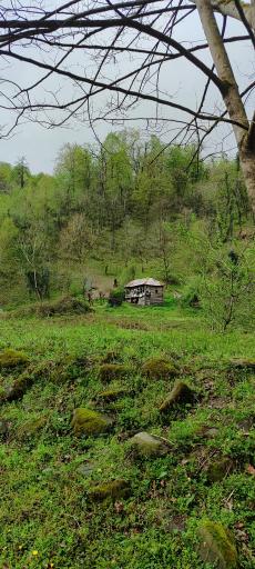 عکس آبشار آهکی اسکیلیم