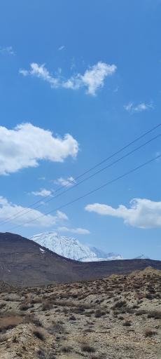 عکس دامنه