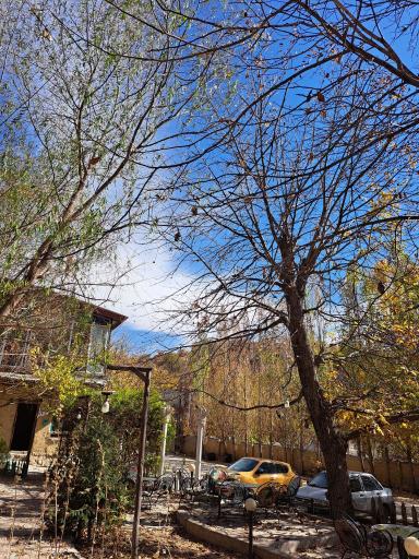 عکس کافه باغ شمس العماره