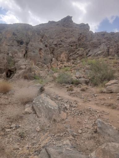 عکس دامنه