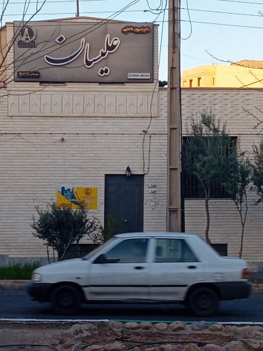 عکس دکوراسیون داخلی علیسان