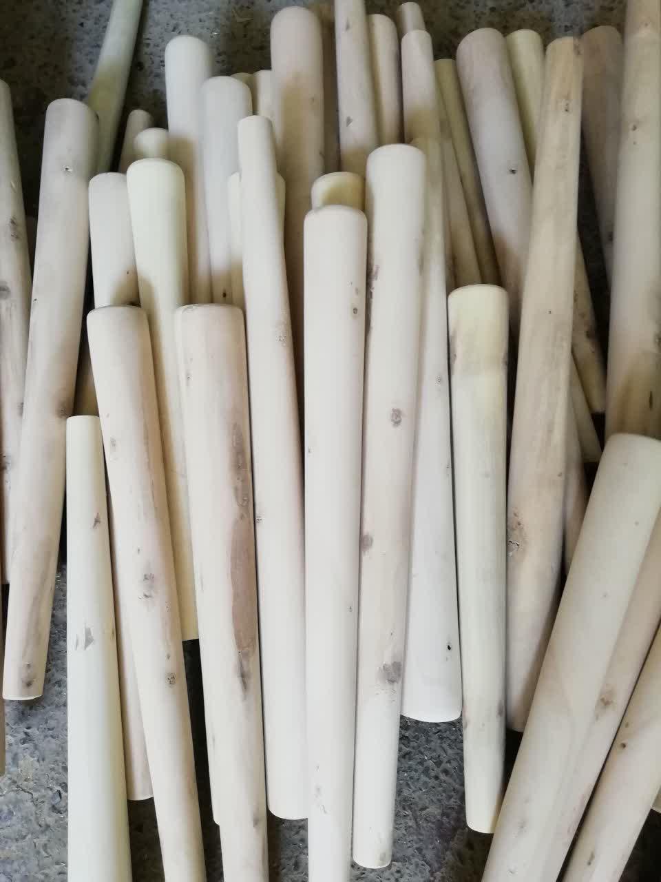 عکس خراطی تیموری