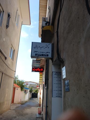 عکس دکتر سعید دریائی