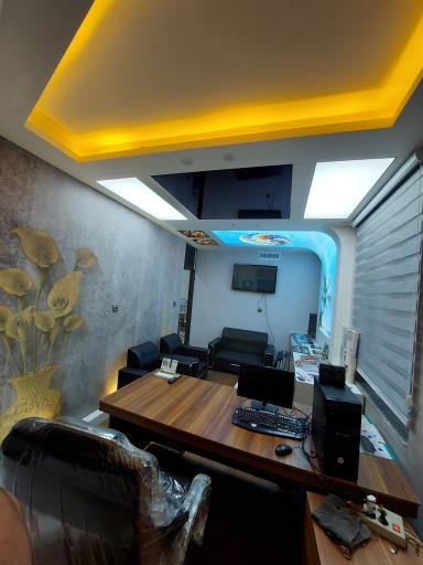 عکس دکوراسیون داخلی علیسان